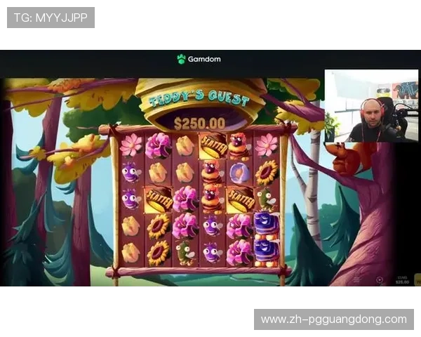PG游戏备用平台安全稳定，保障玩家游戏体验的最佳选择